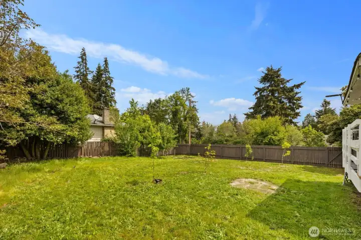 Spacious fully fenced backyard offering plenty of privacy, complete with an abundance of planted fruit trees and room to relax, garden, or entertain.