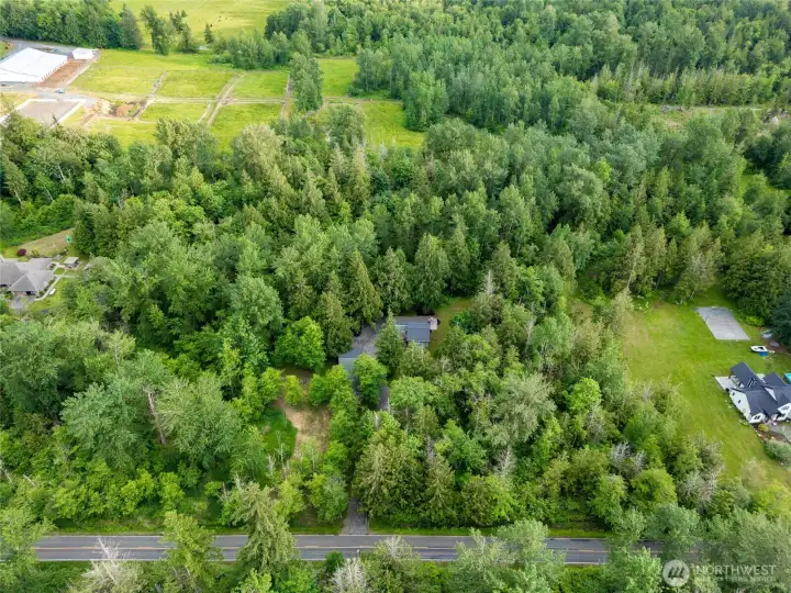 Private shy 5-acre setting surrounded by towering mature trees