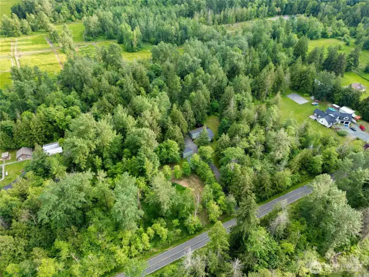 Mature trees create natural separation and a true Pacific Northwest setting
