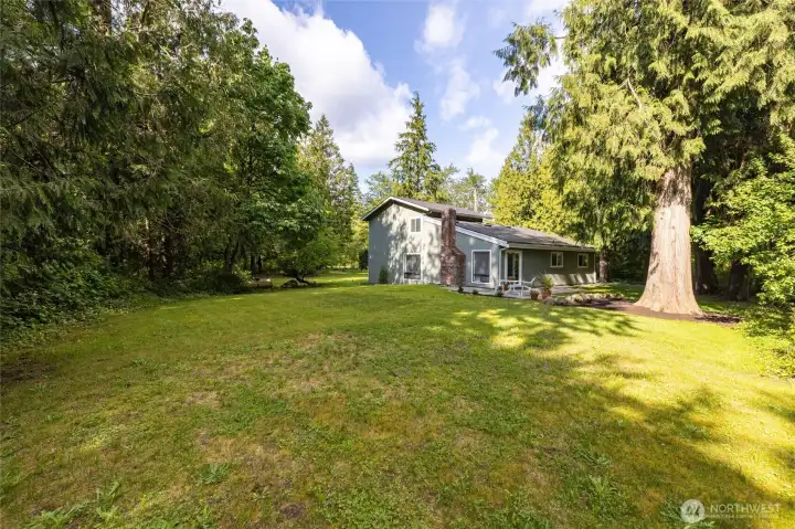 Peaceful outdoor area surrounded by mature trees and natural beauty