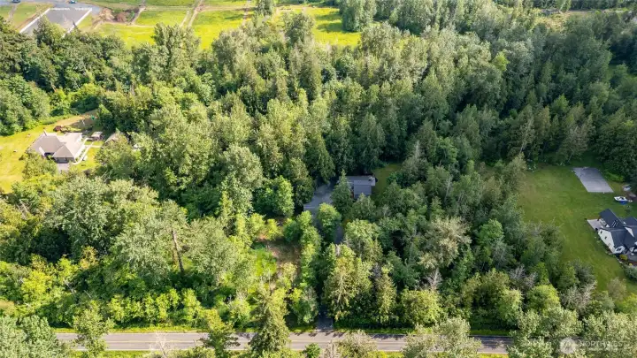 Private acreage surrounded by mature Pacific Northwest trees