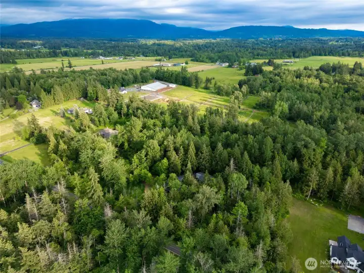 Acreage and mature trees create exceptional privacy