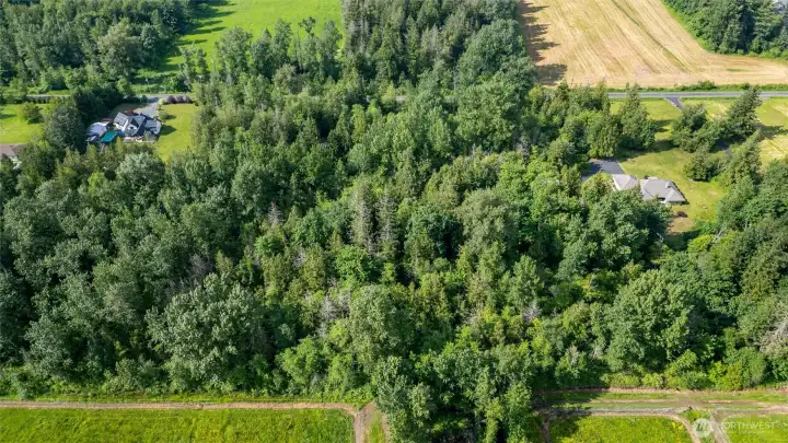 Wooded shy 5-acre property with a peaceful country feel