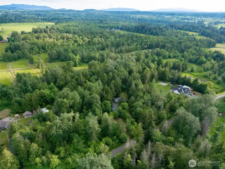 Beautiful rural setting near Bellingham, Lynden, Ferndale, and Everson