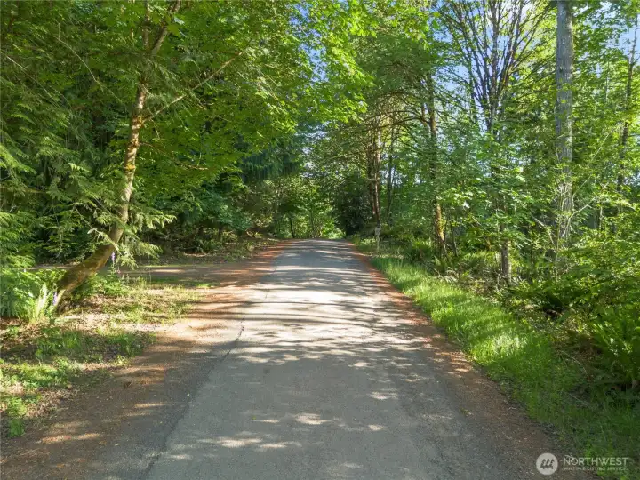 Tree-lined road to the property is enchanting Tree-lined road to the property is enchanting