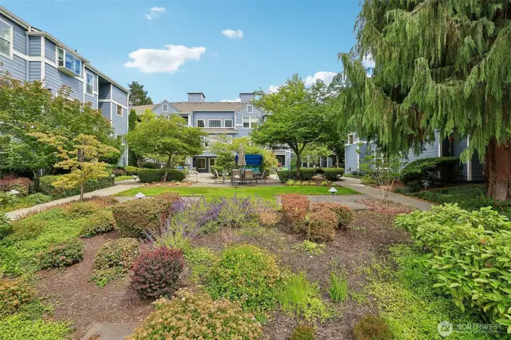 From community garden toward courtyard From community garden toward courtyard