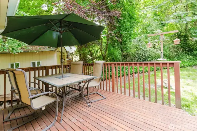 Back Deck