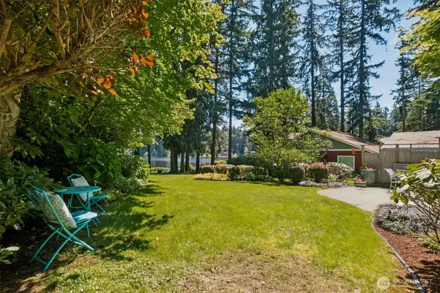 Large front yard. Perfect for all your landscaping an gardening ideas!