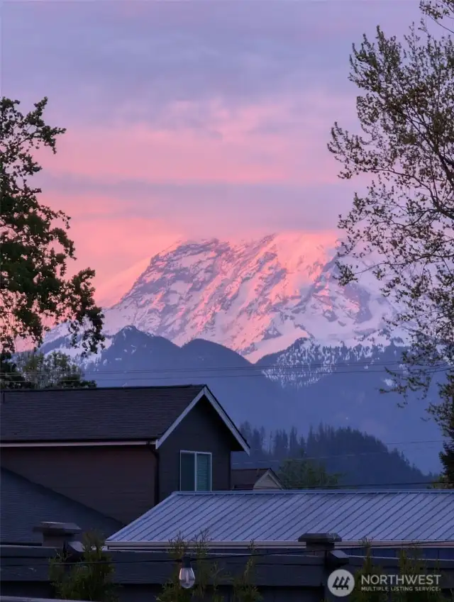 View of Mount Rainier from the backyard