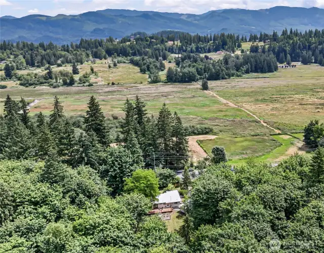 Wonderfully private 4.47 acre property