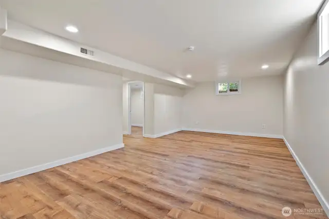 Large family room on the lower level