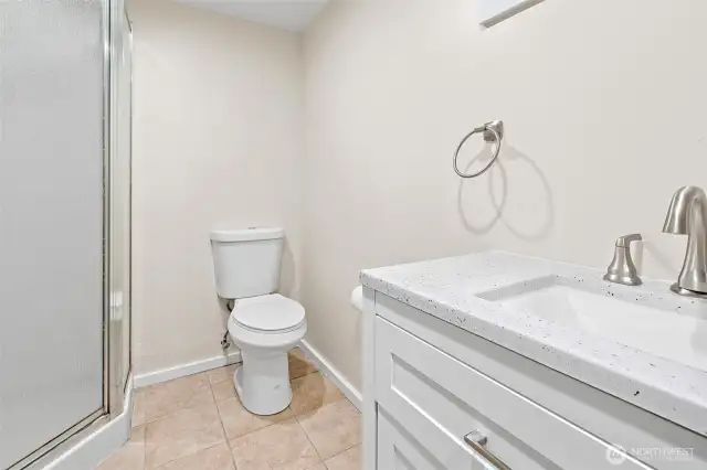 Lower level bathroom with shower