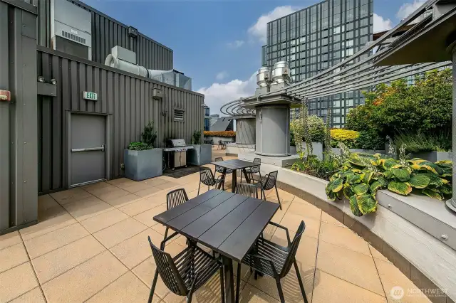 You'll love meeting fellow residents on the rooftop for cookouts and gatherings.