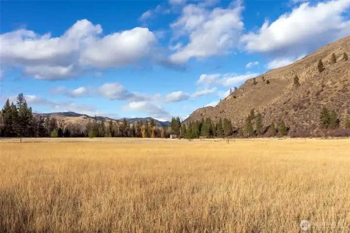 Water rights from natural spring - bring your horses!