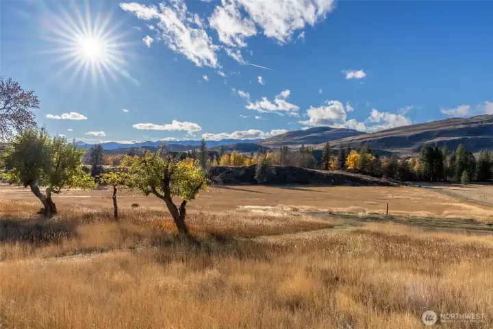 Beautiful views from every location.