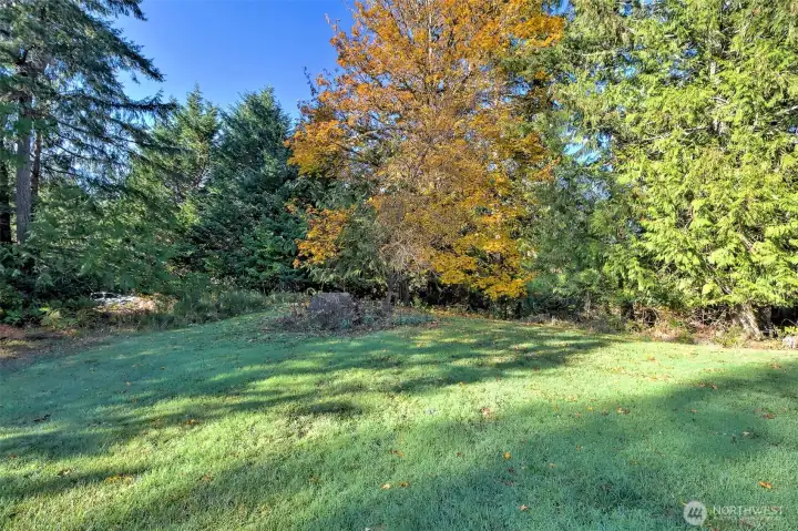 Maybe you could trim or remove these trees to gain a better view?