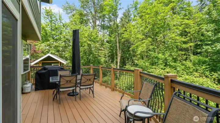 Visual representation of lush spring/summer foliage for complete privacy!