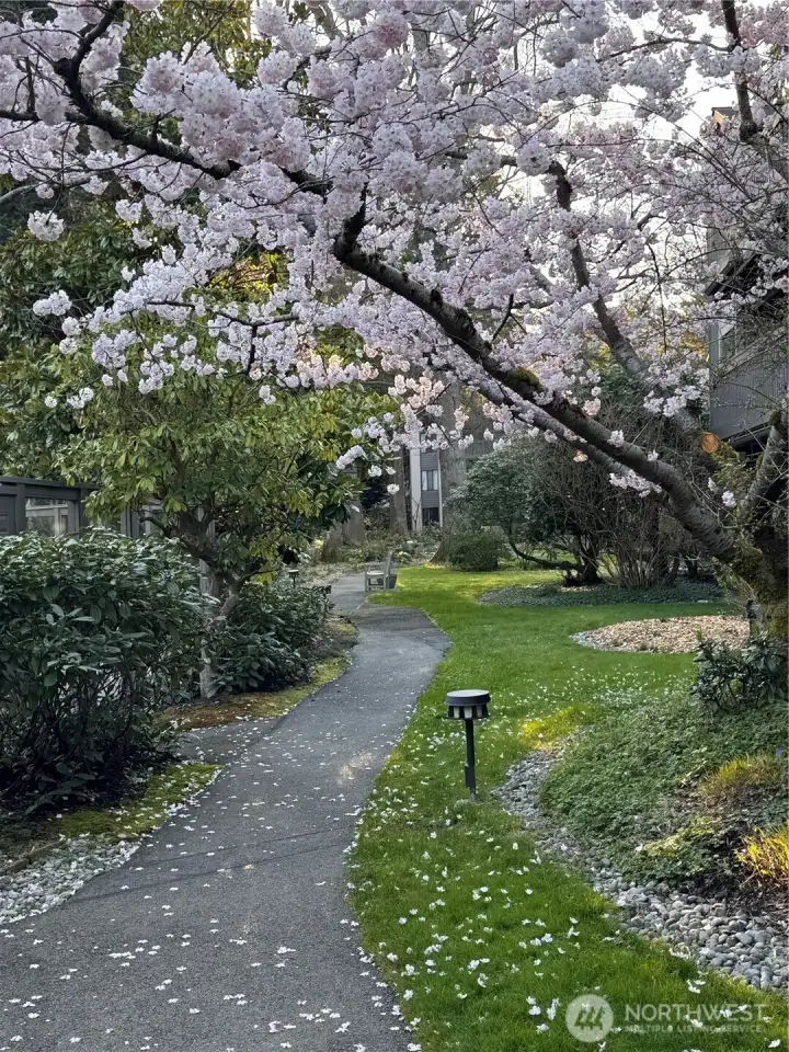 Beautifully maintained grounds.