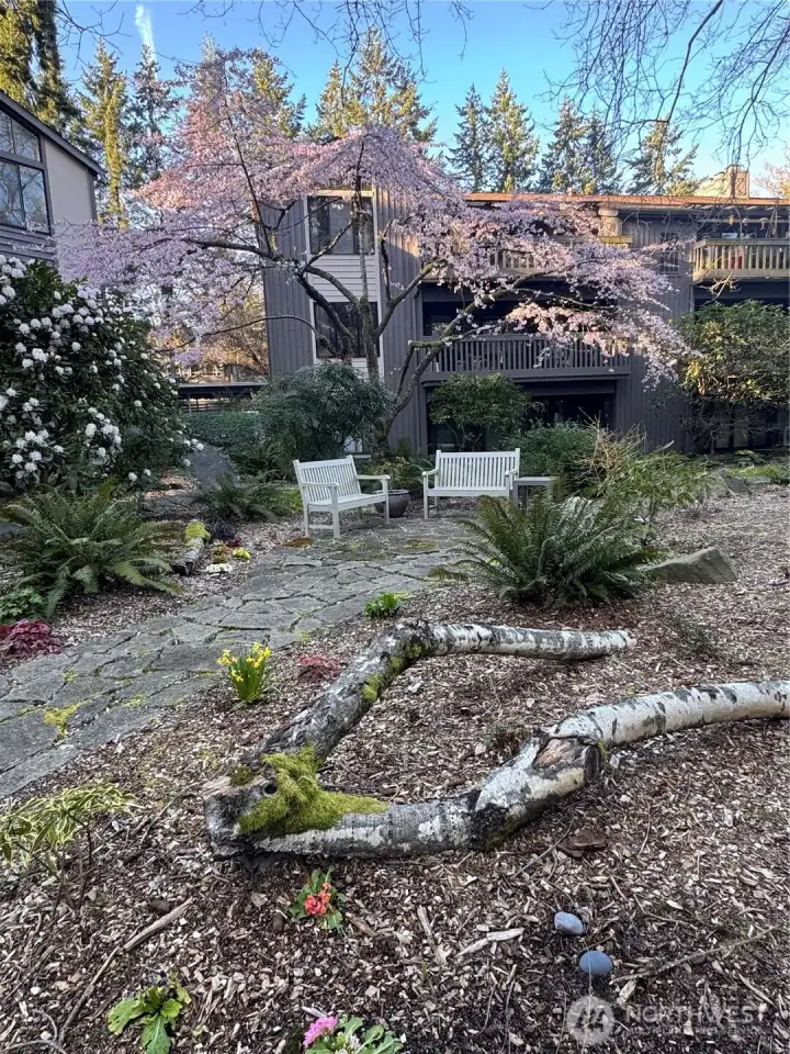 Lots of walking trails and places to stop and sit for a while!