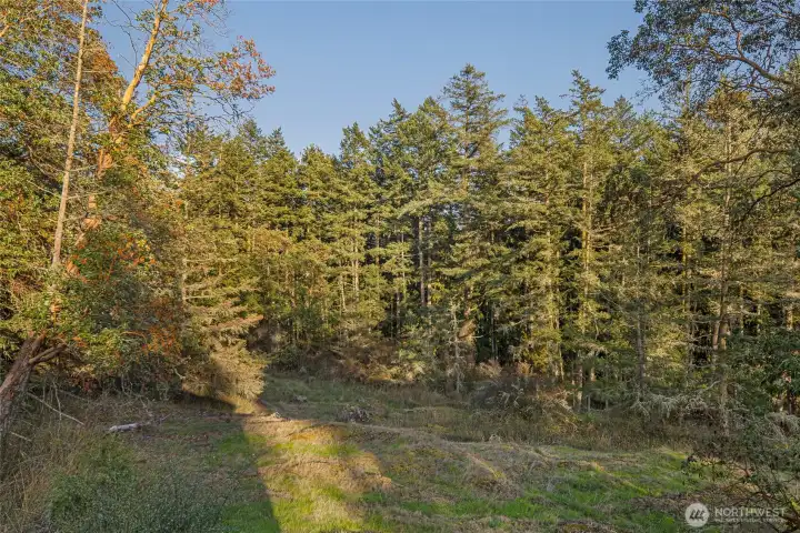 Serene natural backdrop of mature evergreens and native landscape provides exceptional privacy and a peaceful setting just outside Friday Harbor on San Juan Island.