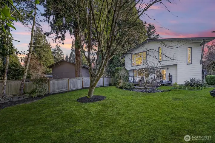 Large, Level Yard