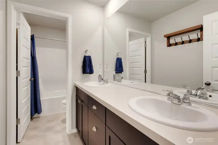 Guest bath Guest bath