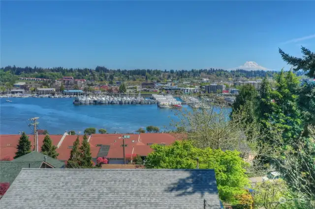 Unparalleled views of Mt. Rainier, the Capitol, and Downtown Olympia!