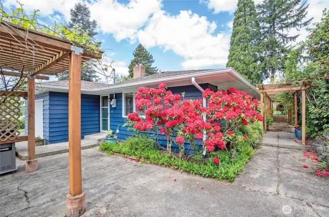 To the left, an arbor draped in grapevines offers a cozy garden retreat, while to the right, a pathway leads to another arbor beautifully adorned with wisteria.