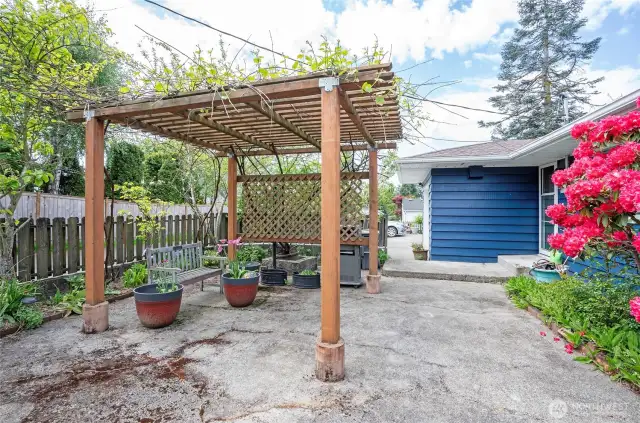 A private patio off the back door showcases a beautiful arbor draped with grapevines and is enclosed with fencing for added seclusion and comfort.