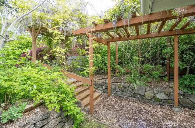 Arbor-covered walkway with steps leading to the upper backyard—adding charm and easy access to this peaceful outdoor space.