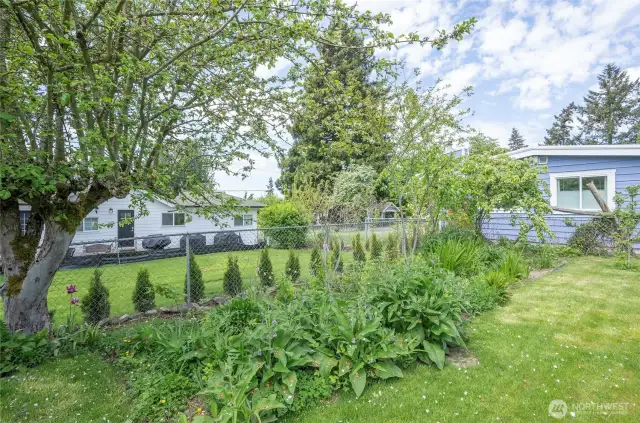 Natural garden area featuring a variety of plants that enhance the landscape with color, texture, and seasonal interest.