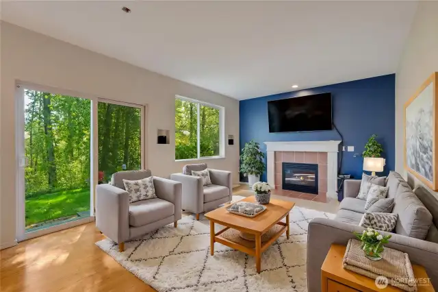Family Room Virtual Stage