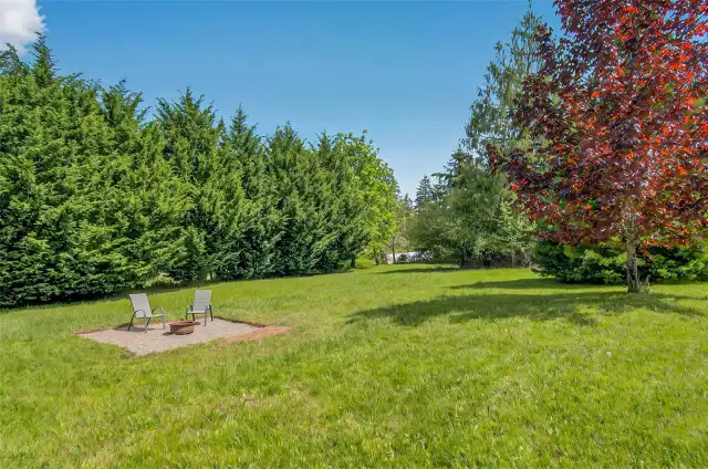 Back Yard /Shop/FirePit