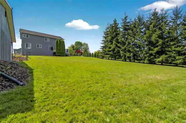 Back Yard /Shop