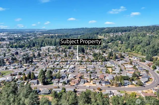 Aerial of the community. This home is in the center area of the park.
