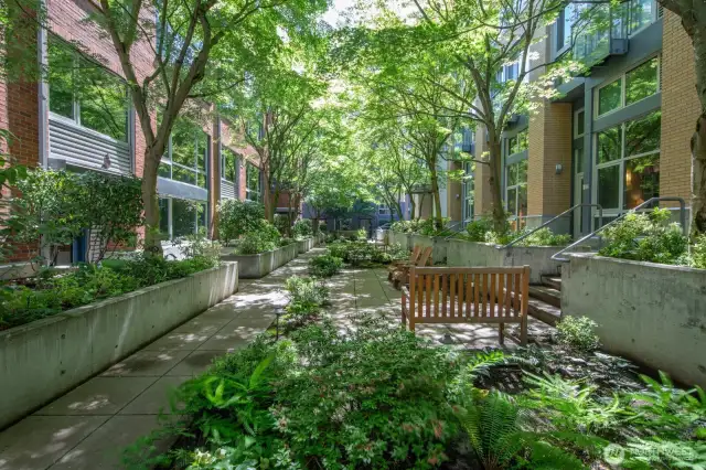 Tree-lined pathways and garden beds offer a quiet escape in the heart of the city.
