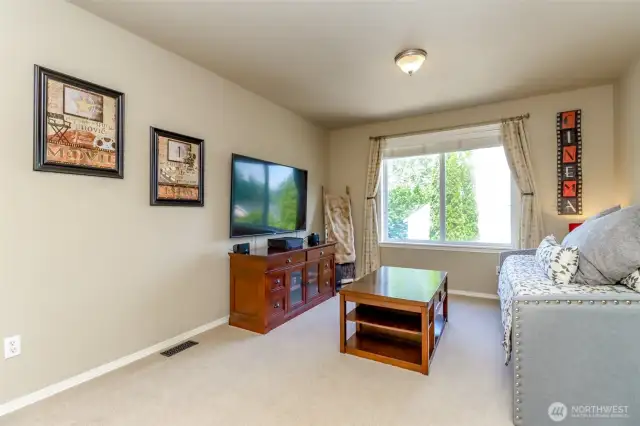 Great room for multimedia etc