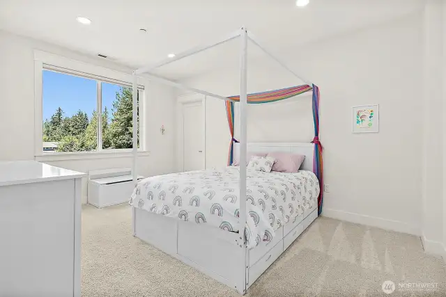 Additional bedroom with walkin closet.