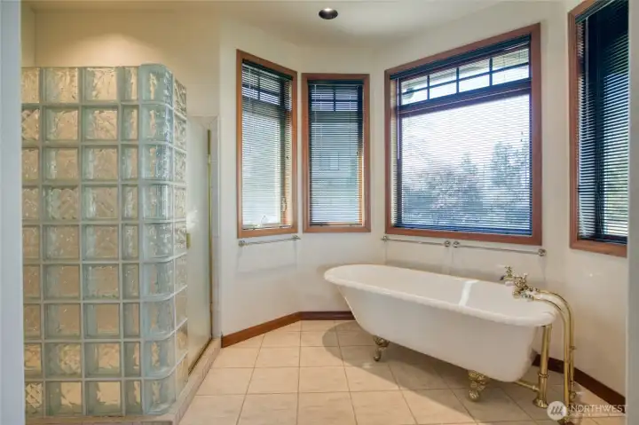 ENJOY THE SOAKING TUB WHILE BASKING UNDER THE NATURAL LIGHT FROM OUTSIDE!