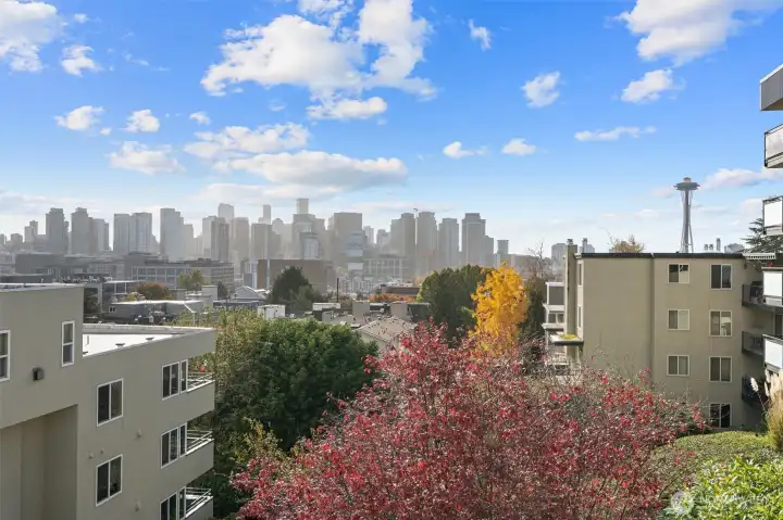 Unobstructed view from top floor primary bedroom.