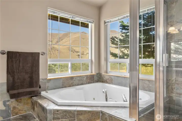 Primary bath jetted tub where you can soak, relax and enjoy the beautiful surroundings!