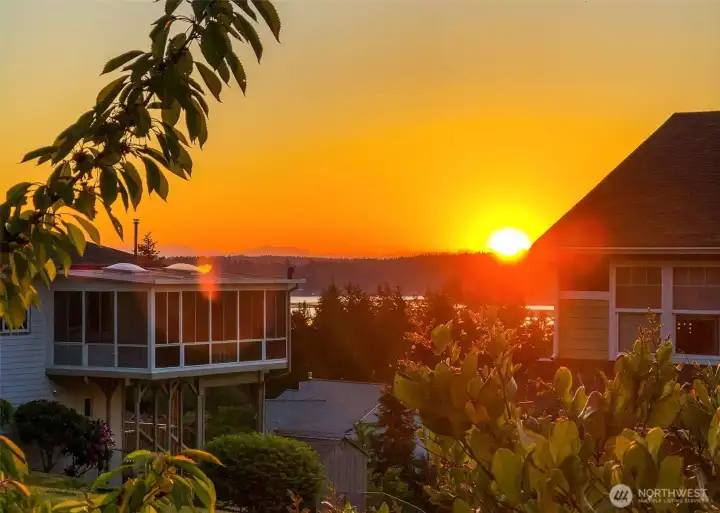 Captivating sunsets from back yard view!