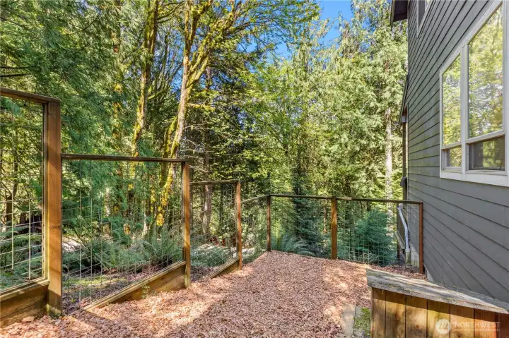 The dog run features deeply dug fencing to prevent any escape attempts!