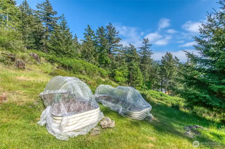 Even the vegetables get a water view here.