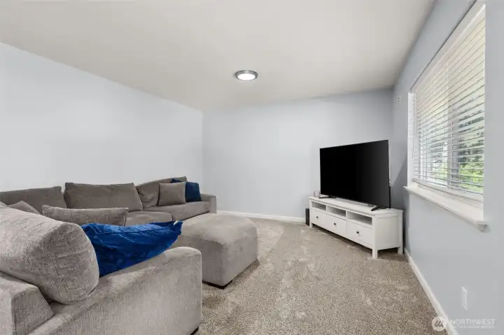 Bonus Area Upstairs