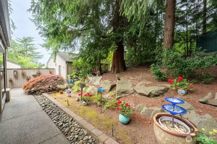 Mature Landscaping Mature Landscaping