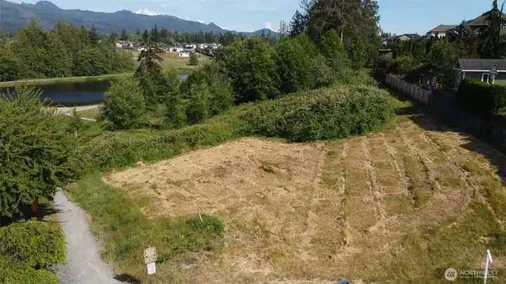 property extends all the way to the taller bushes