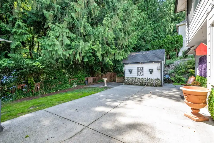 Large Patio & Back Yard