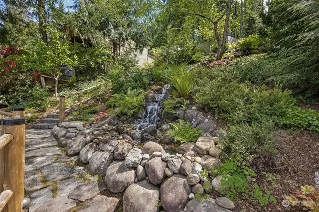Calming sound of the waterfall welcomes guest as the walk to the front door.