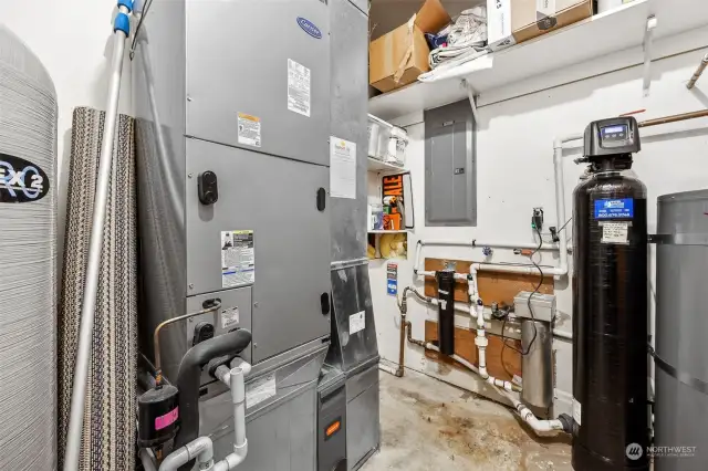 Mechanical room located in the basement-  furnace, hot water heater, antimicrobial & mineral free water filter, storage, electronic air filter.